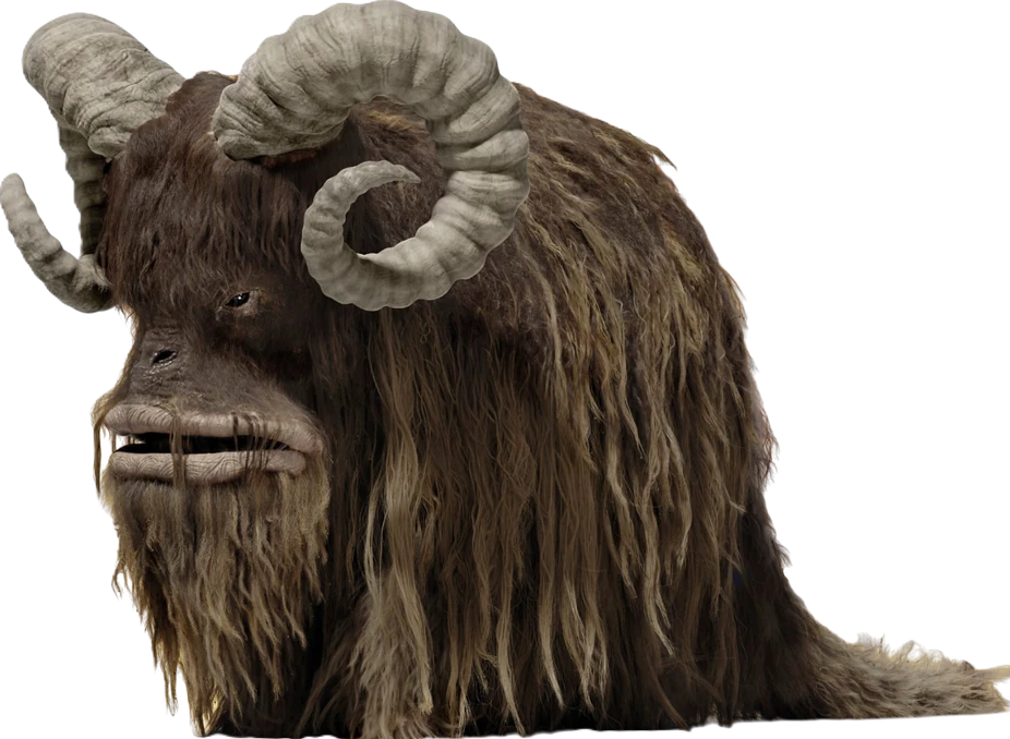 bantha